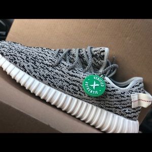 yeezy boost 350 turtle men sz 10
